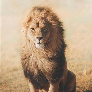 Meet your Posher, Gagandeep